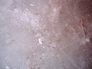 20130120 seooreung skate 9.jpg