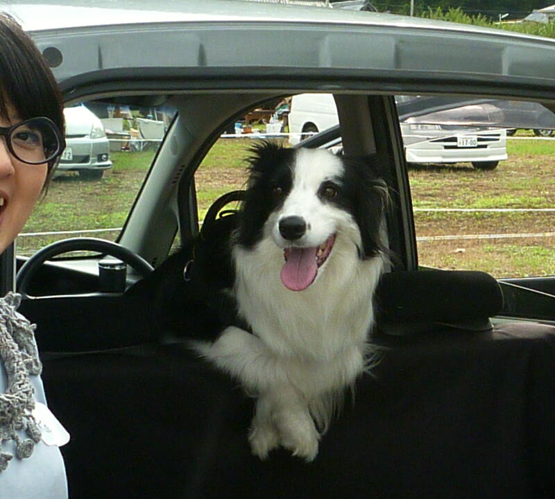 T子さんとシュー