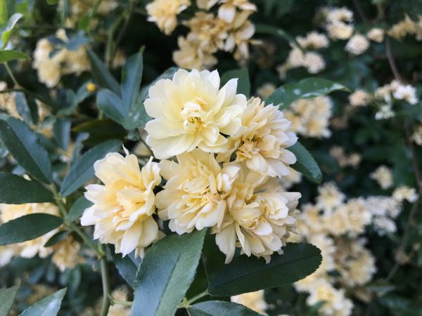 rblog-20180429182853-05.jpg