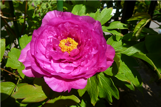 P1020130.png