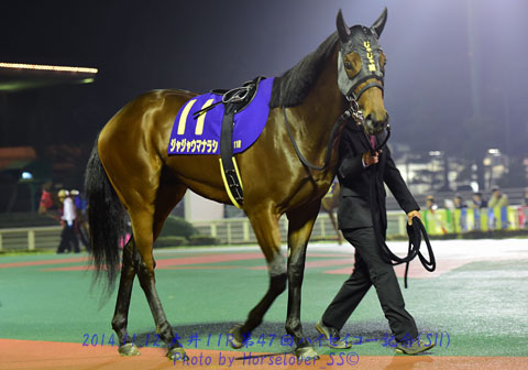 11JajaumaNarashi111214tck11R_03