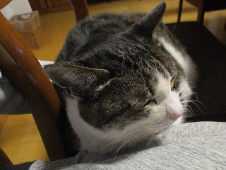 IMG_5871ss.jpg