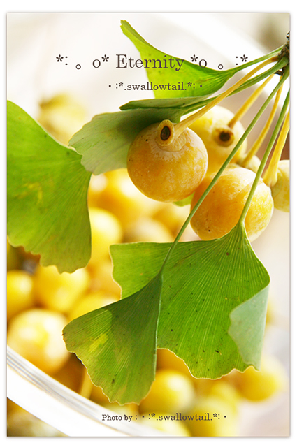 Photo by swallowtail　B.jpg