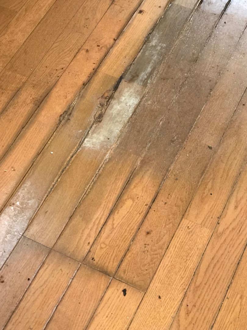 クレゾール散布 犬くさい物件 だらしない人 ボロ物件でも高利回り 激安アパート経営 ベンツは２０万円で買え ダイヤモンド社 ボロ物件でも高利回り 激安アパート経営 ベンツは２０万円で買え 入居者募集中 貸家 アパート 楽天ブログ