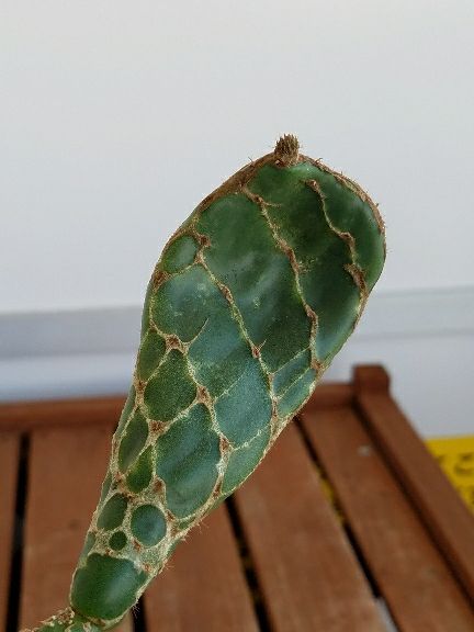 rblog-20180828115230-03.jpg