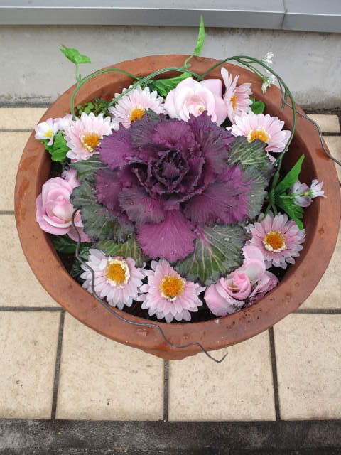 葉牡丹＆冬でも枯れない～けな気なお花たち～