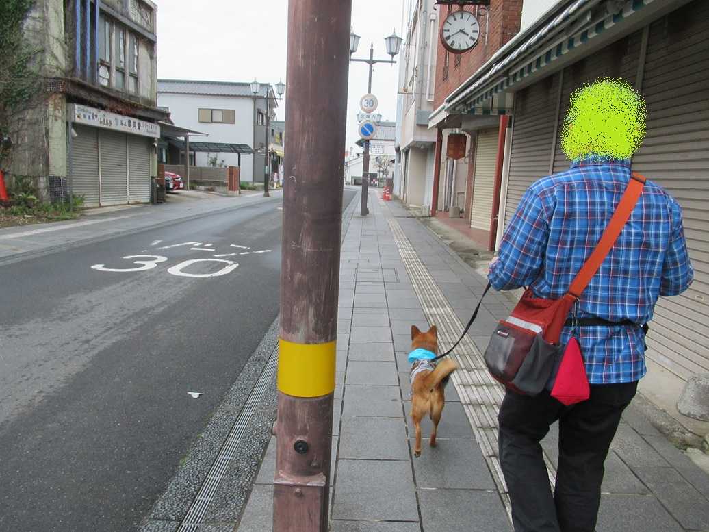 ペット 安い お出かけ 土浦