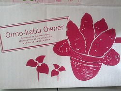 箱.jpg