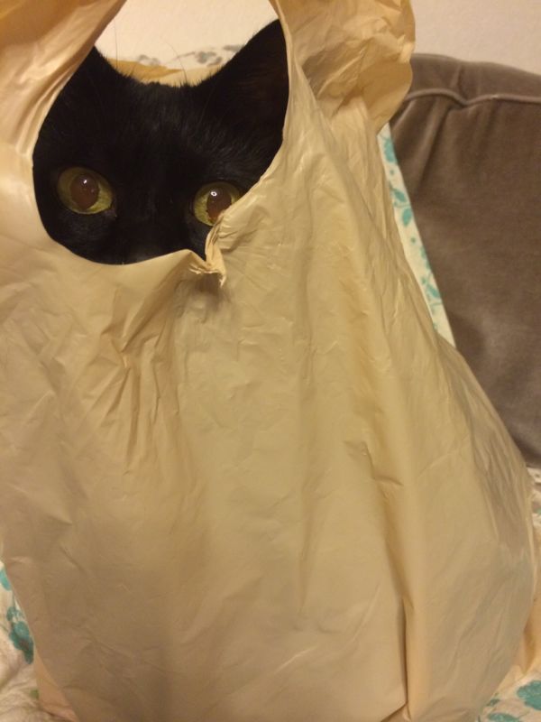 rblog-20141004092056-03.jpg