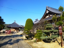 P1010177.JPG