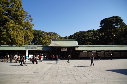 DSC09003.JPG
