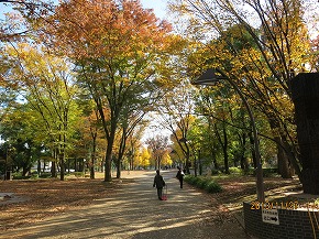 紅葉131129-642b.jpg