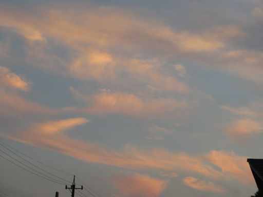 IMG_1675.JPG