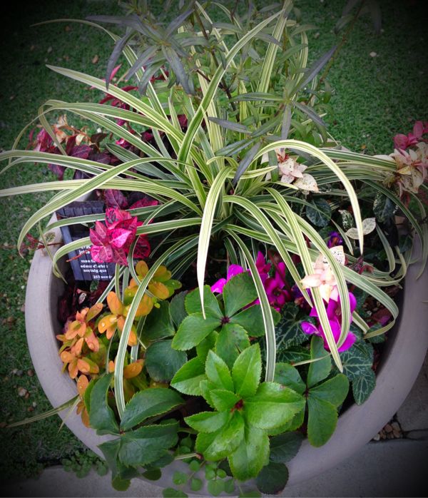 rblog-20150131093333-00.jpg