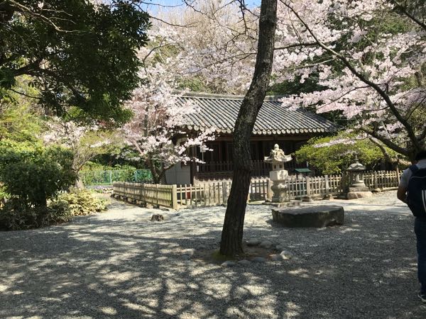 rblog-20180329182151-02.jpg