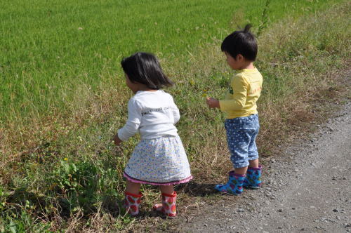 双子の孫