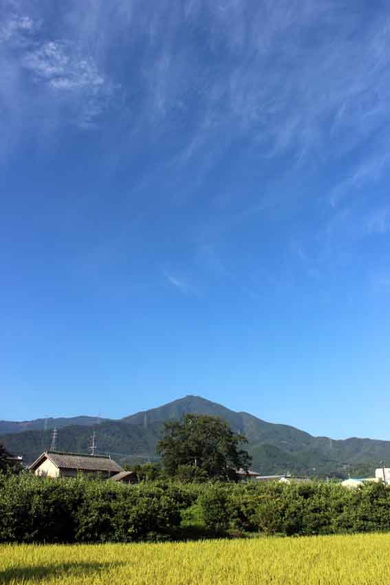 高越山2013/8/20-2