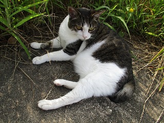 IMG_6288ss.jpg