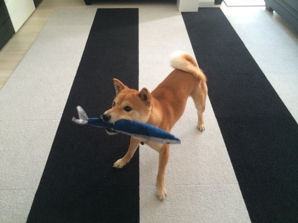 rblog-20160412234819-02.jpg
