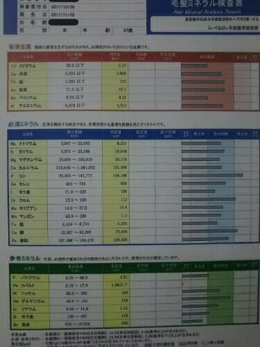 毛髪ミネラル検査の結果 さくらイチゴの色々お試し 体験 楽天ブログ