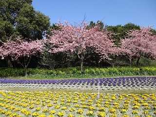 IMG_6849ss.jpg