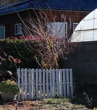 21年12月06日の記事 今日の空はあおい 楽天ブログ