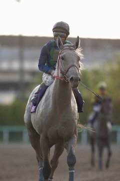 レース後