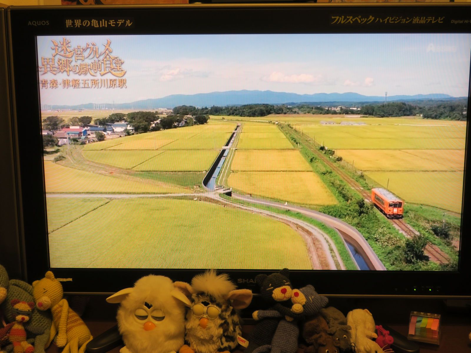 迷宮グルメ異郷の駅前食堂 津軽五所川原駅 そら豆プリント倶楽部 楽天ブログ