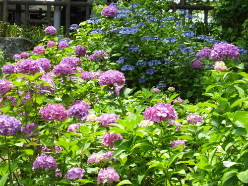 多摩川台公園にて