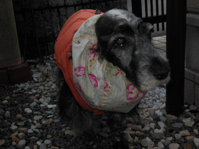DSCN1535.JPG