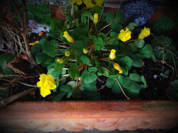 rblog-20141225182730-04.jpg
