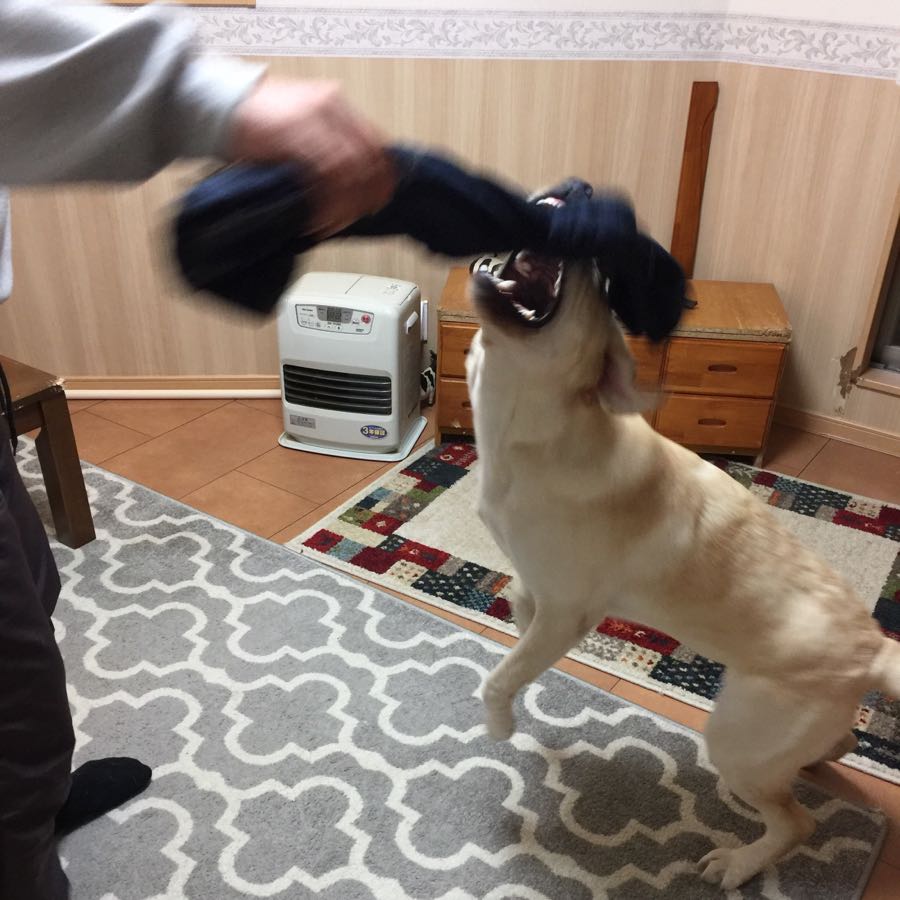 rblog-20181212094051-02.jpg
