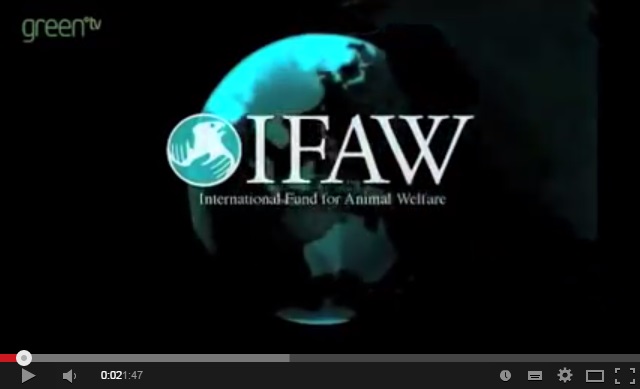 カナダのアザラシ猟について My Secret Place 楽天ブログ