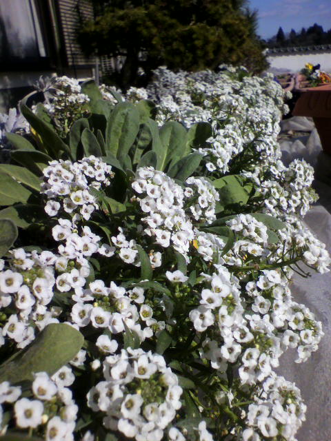 2012121913010001.jpg