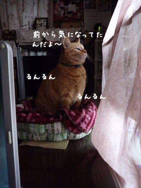 前から気になってたの