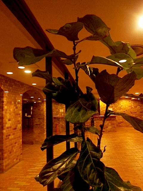 120418_210441.jpg