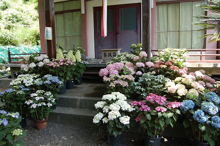 s-DSC_0417.jpg