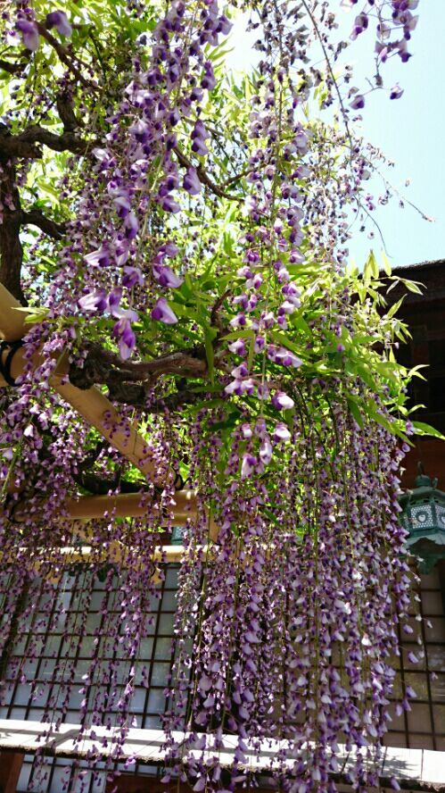 rblog-20170508223241-02.jpg
