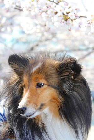 IMG_8056.jpg