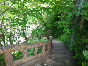 夏油22.jpg