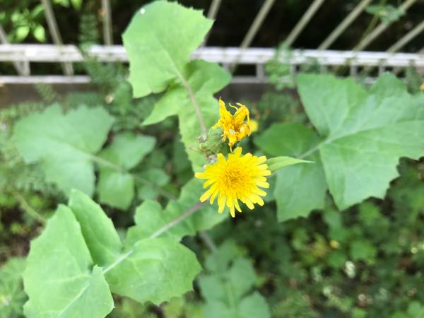 rblog-20180430174711-04.jpg