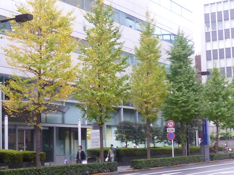 P1260020.JPG