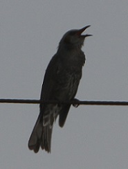E7D_6460-3.jpg