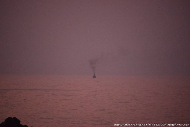 あまりもの写真で | 今日の予定 - 楽天ブログ