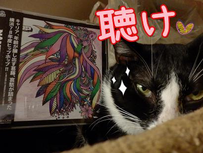 はち.JPG