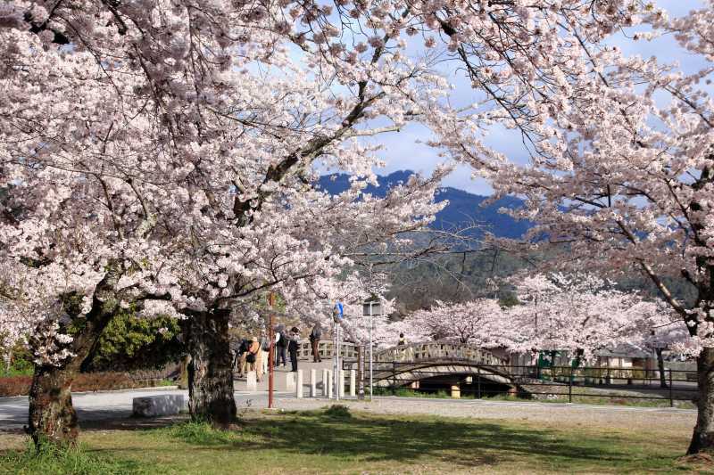 嵐山_002.jpg