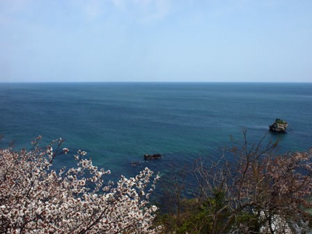 潮風、灯台、桜 (2)