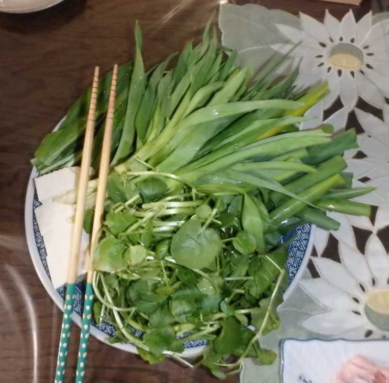 三 水 館 草 販売済み 鍋