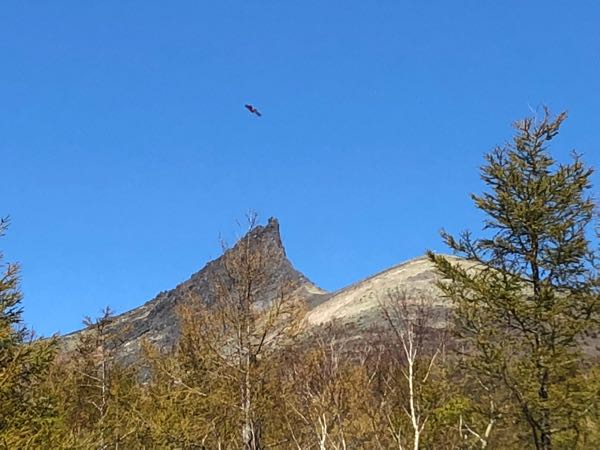 駒ヶ岳 登山レポート(標高1131m) 2018年10月20日) 北海道 茅部郡森町・鹿部町と亀田郡七飯町にまたがる 6号目から標高900mの