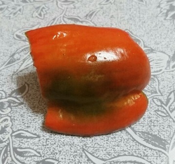 1501776476800.jpg
